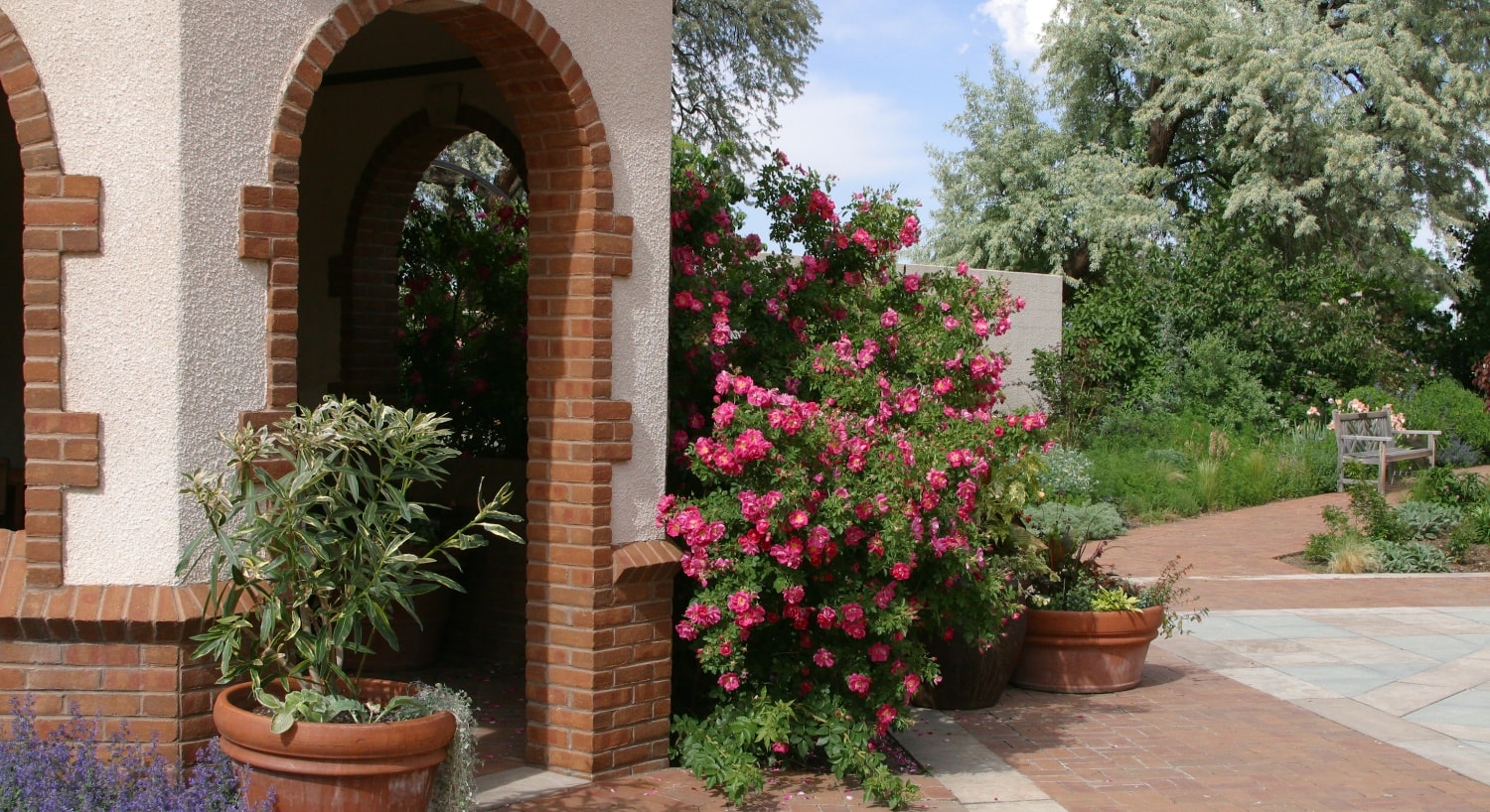 Stucco and brick building surrounded by purple and pink flowers, bushes, and trees