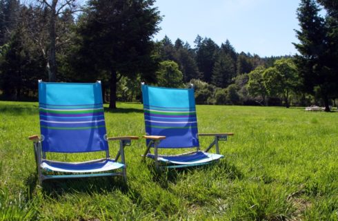 Lounge chairs sitting in the green grass