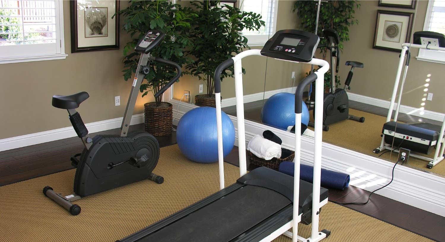 Room with stationary bike and treadmill