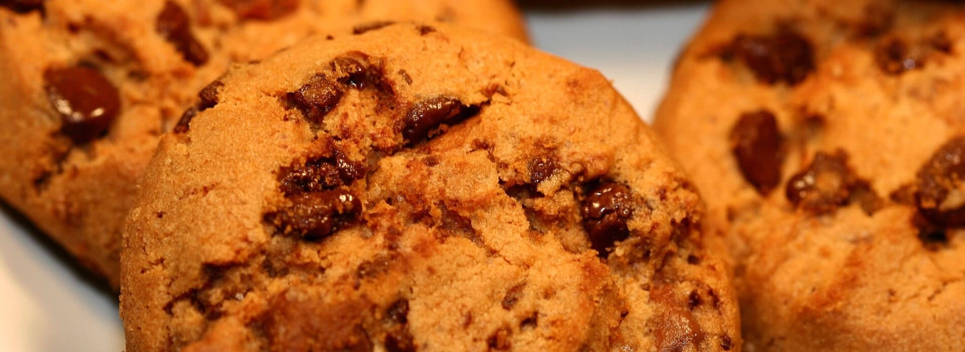 Close up view of chocolate chip cookies