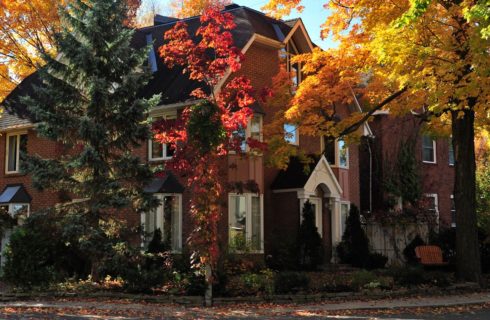 Large brick home covered with ivy surrounded by fall foliage