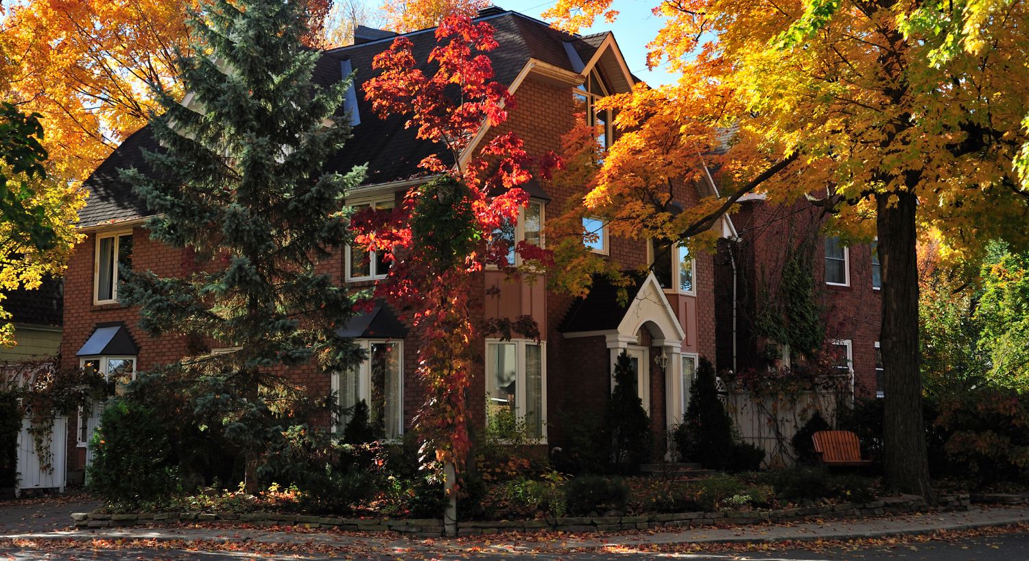 Large brick home covered with ivy surrounded by fall foliage