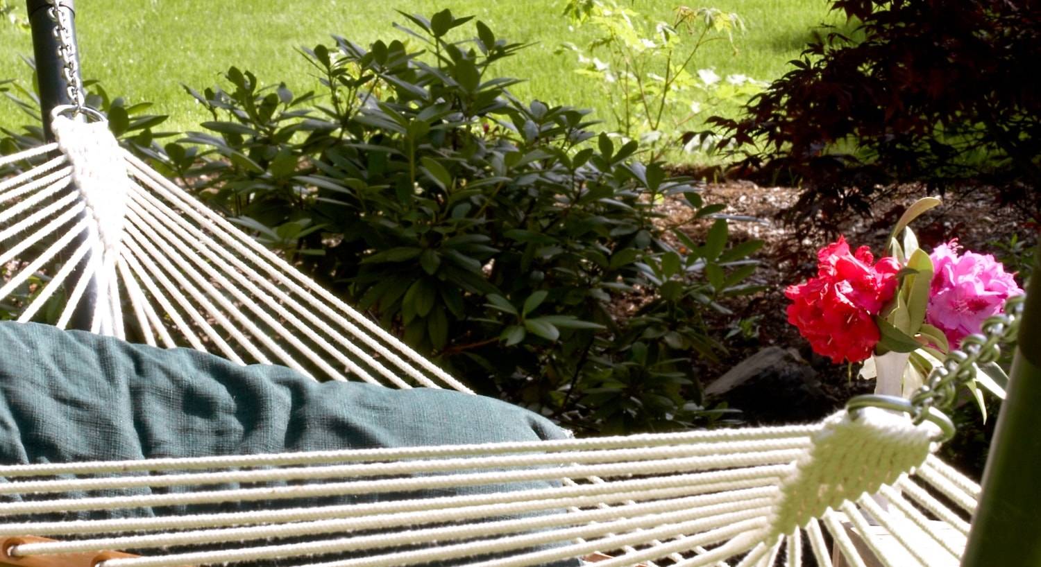 Close up view of hammock near green bushes and grass